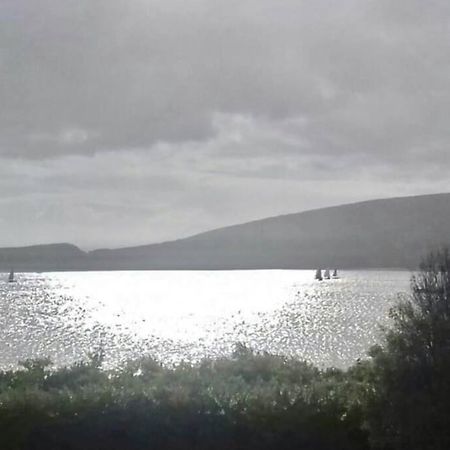 Green Garden Meets Blue Sea For 2 People Dingle Esterno foto