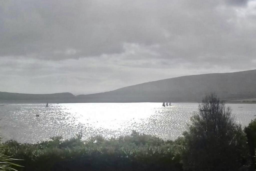 Green Garden Meets Blue Sea For 2 People Dingle Esterno foto