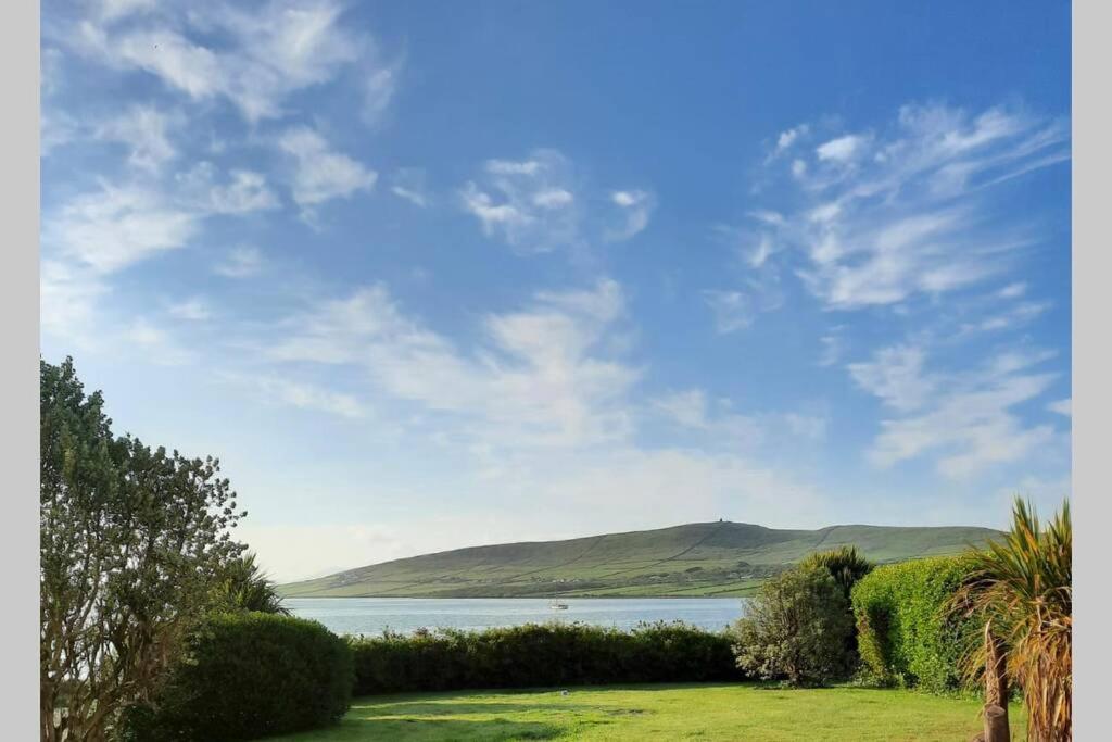 Green Garden Meets Blue Sea For 2 People Dingle Esterno foto