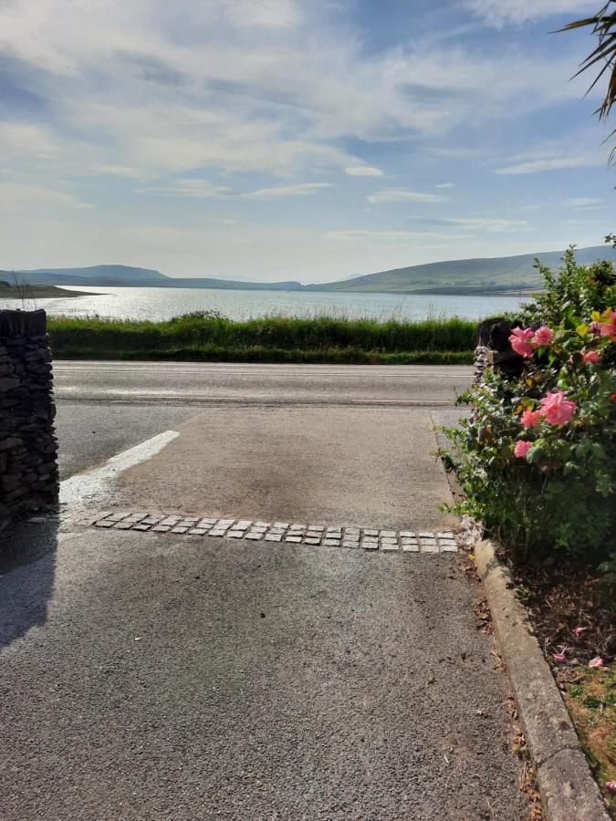 Green Garden Meets Blue Sea For 2 People Dingle Esterno foto